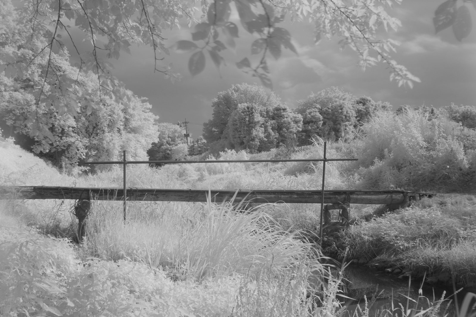 With Kenko INFRARED R72